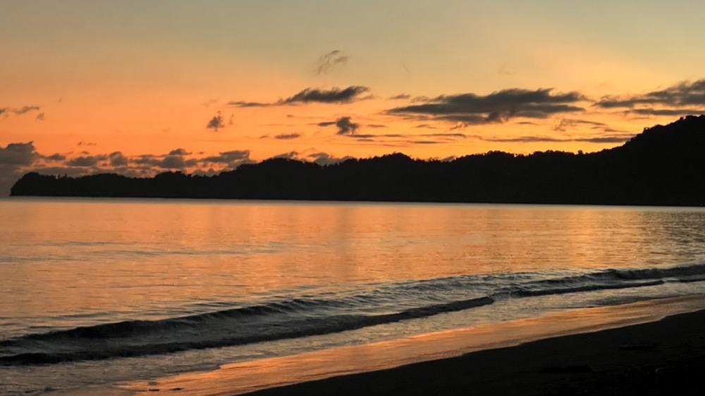Estrella de mar en la playa del Pacífico — biodiversidad marina Chocó