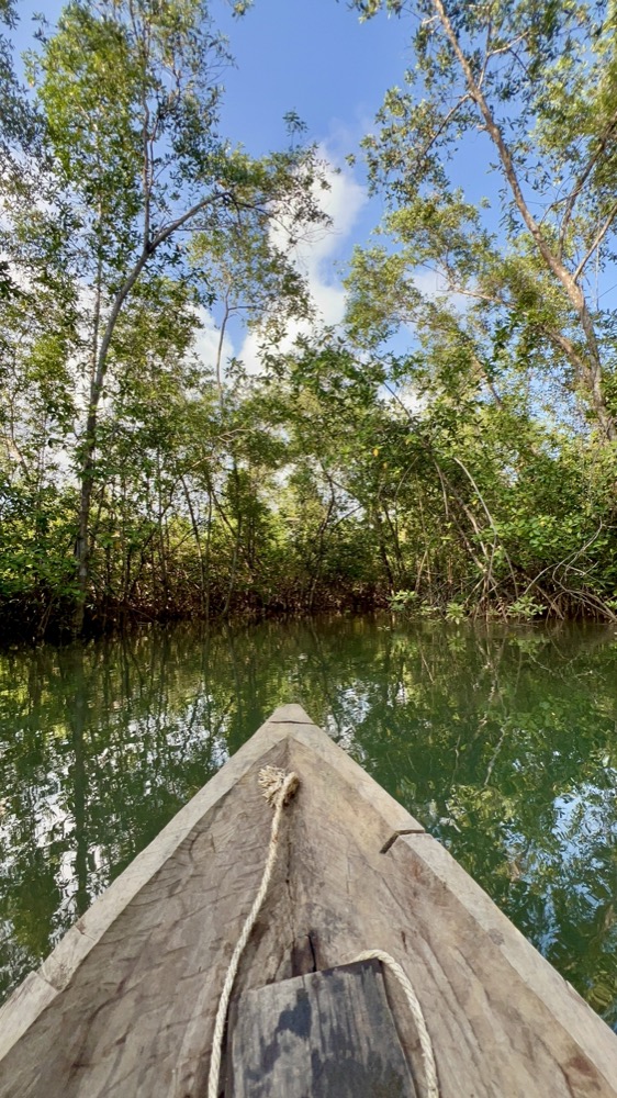 Exploración de manglares en canoa — Orígenes Eco Refugio, Bahía Solano