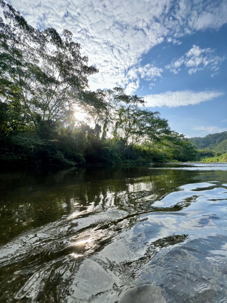 Rayos de sol entre los árboles de la selva — Cupica, Bahía Solano