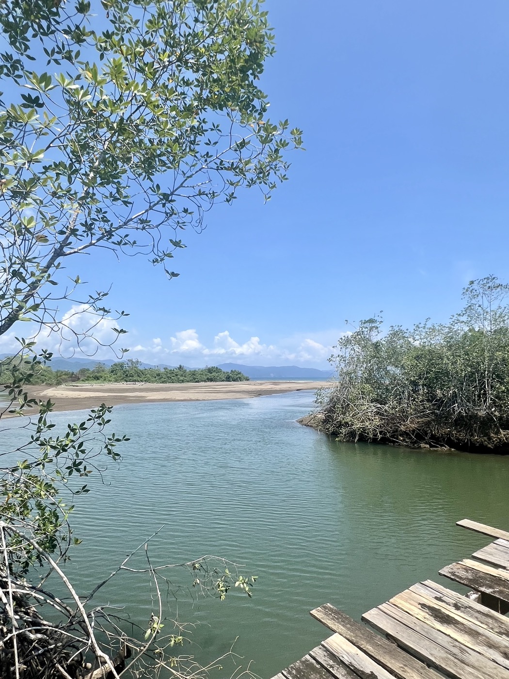 Muelle del eco refugio Orígenes con vista al manglar — Cupica